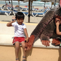 фото из отзыва ID 1098373