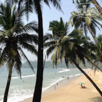 фото из отзыва ID 1098589