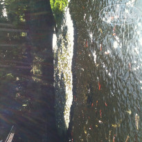 фото из отзыва ID 1098608