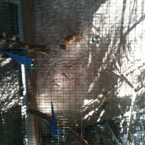 фото из отзыва ID 1098608