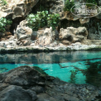 фото из отзыва ID 1098608