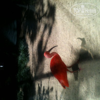 фото из отзыва ID 1098608