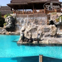 фото из отзыва ID 1098608