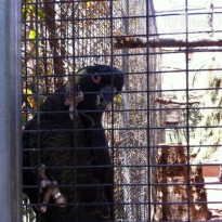 фото из отзыва ID 1098608