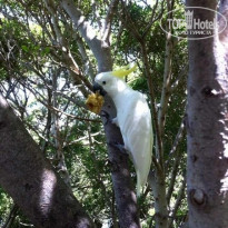 фото из отзыва ID 1098608