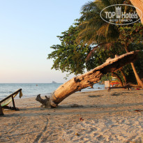 фото из отзыва ID 1098805