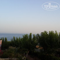 фото из отзыва ID 1098912