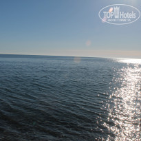 фото из отзыва ID 1099244