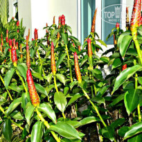 фото из отзыва ID 1099272