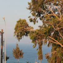 фото из отзыва ID 1099313