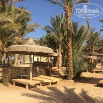 фото из отзыва ID 1099319