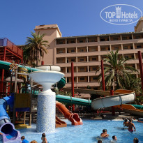 фото из отзыва ID 1098109