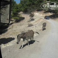 фото из отзыва ID 1098109