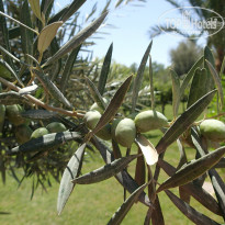 фото из отзыва ID 1098109