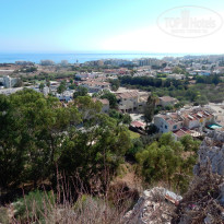 фото из отзыва ID 1099744