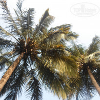 фото из отзыва ID 1099751