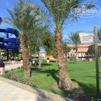 фото из отзыва ID 1099769