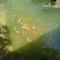 фото из отзыва ID 1099803