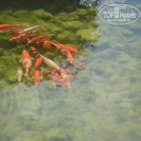 фото из отзыва ID 1099990