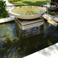 фото из отзыва ID 1099990