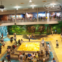 фото из отзыва ID 1097897