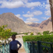 фото из отзыва ID 1098870