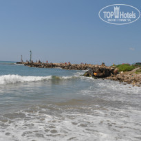 фото из отзыва ID 1092196