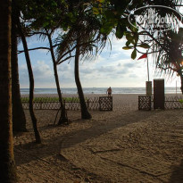 фото из отзыва ID 110673