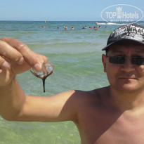 фото из отзыва ID 1100052