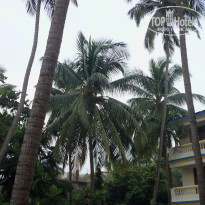 фото из отзыва ID 1100295