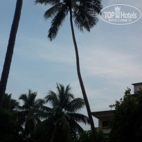 фото из отзыва ID 1100295