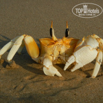 фото из отзыва ID 1100567