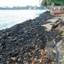 фото из отзыва ID 1100574