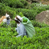 фото из отзыва ID 1100583