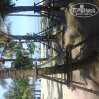 фото из отзыва ID 1100594