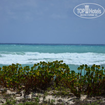 фото из отзыва ID 1100605