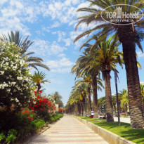 фото из отзыва ID 1100611