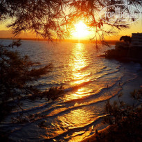 фото из отзыва ID 1100611