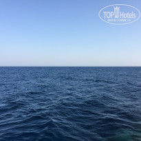 фото из отзыва ID 1100615