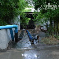 фото из отзыва ID 1100650