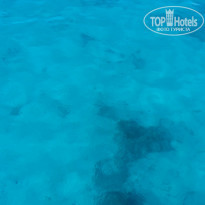 фото из отзыва ID 1100675