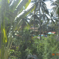 фото из отзыва ID 1100745