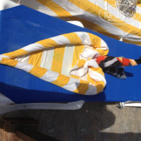 фото из отзыва ID 1100790