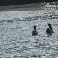 фото из отзыва ID 1100804