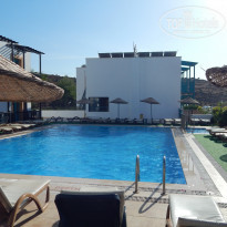 фото из отзыва ID 1100824