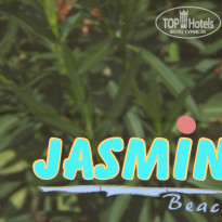 фото из отзыва ID 1100824