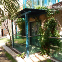 фото из отзыва ID 1100824