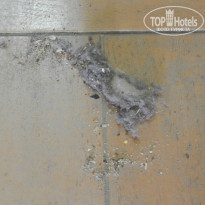 фото из отзыва ID 1100824