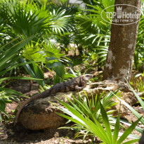 фото из отзыва ID 1100907