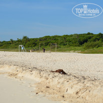 фото из отзыва ID 1100907